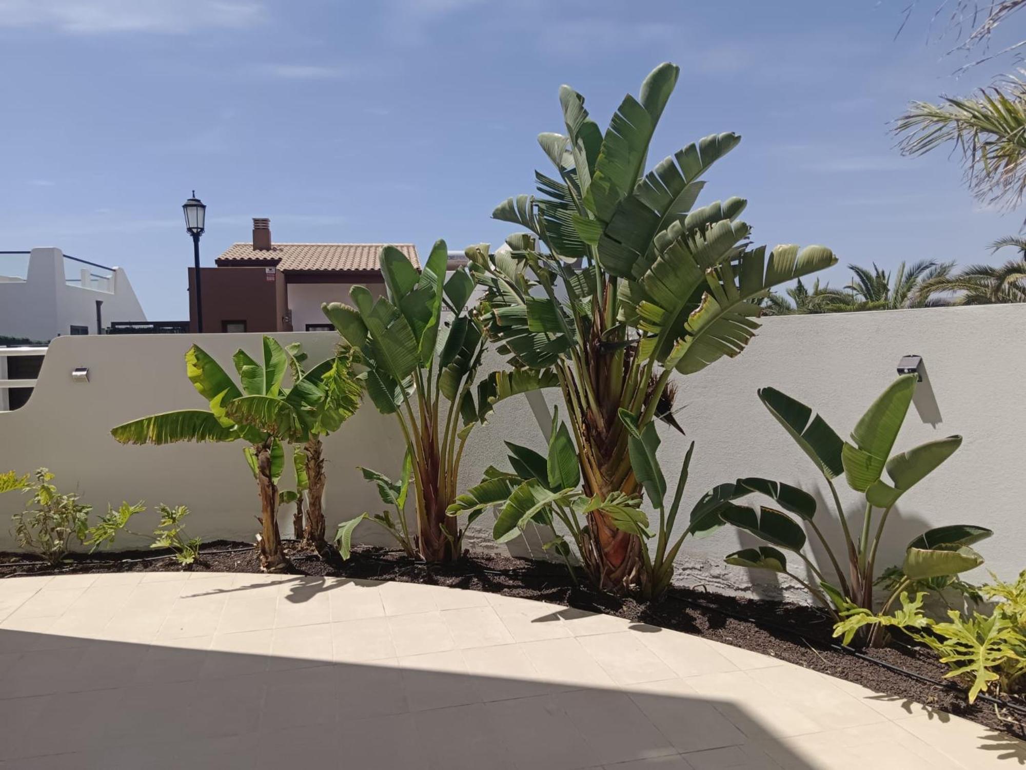 Homeforguest Flat With Large Terrace In Modern Residential Complex With Swimming Pool Caleta De Fuste Exteriör bild